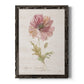 Soft Poppy - Barnwood Framed Canvas Print