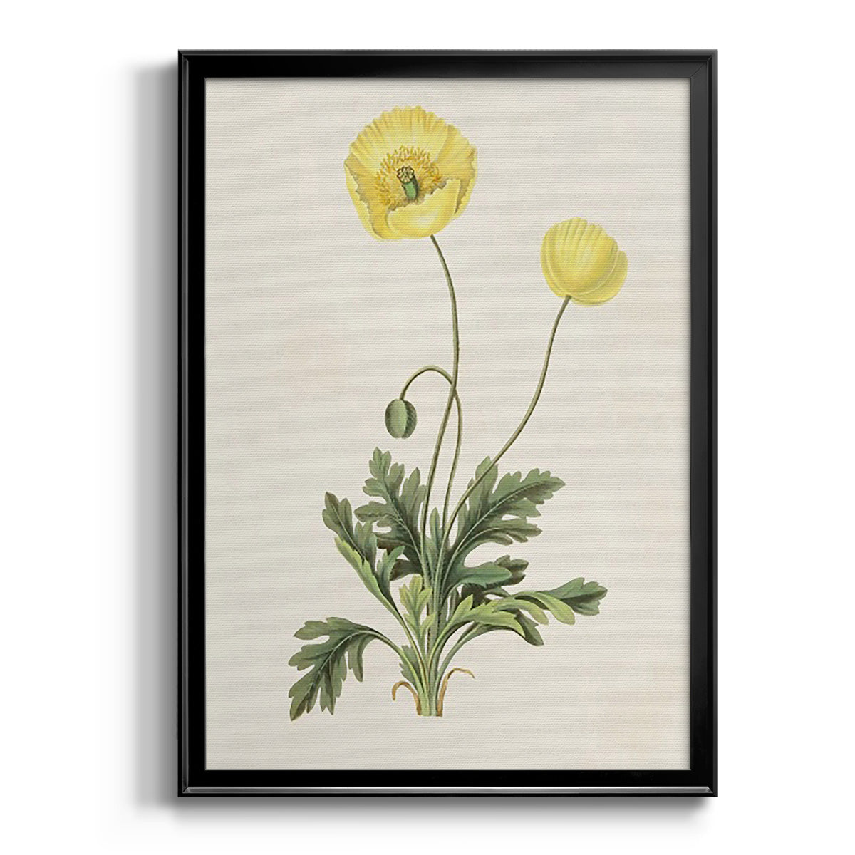 Flowers of the Seasons XII - Modern Framed Canvas Print