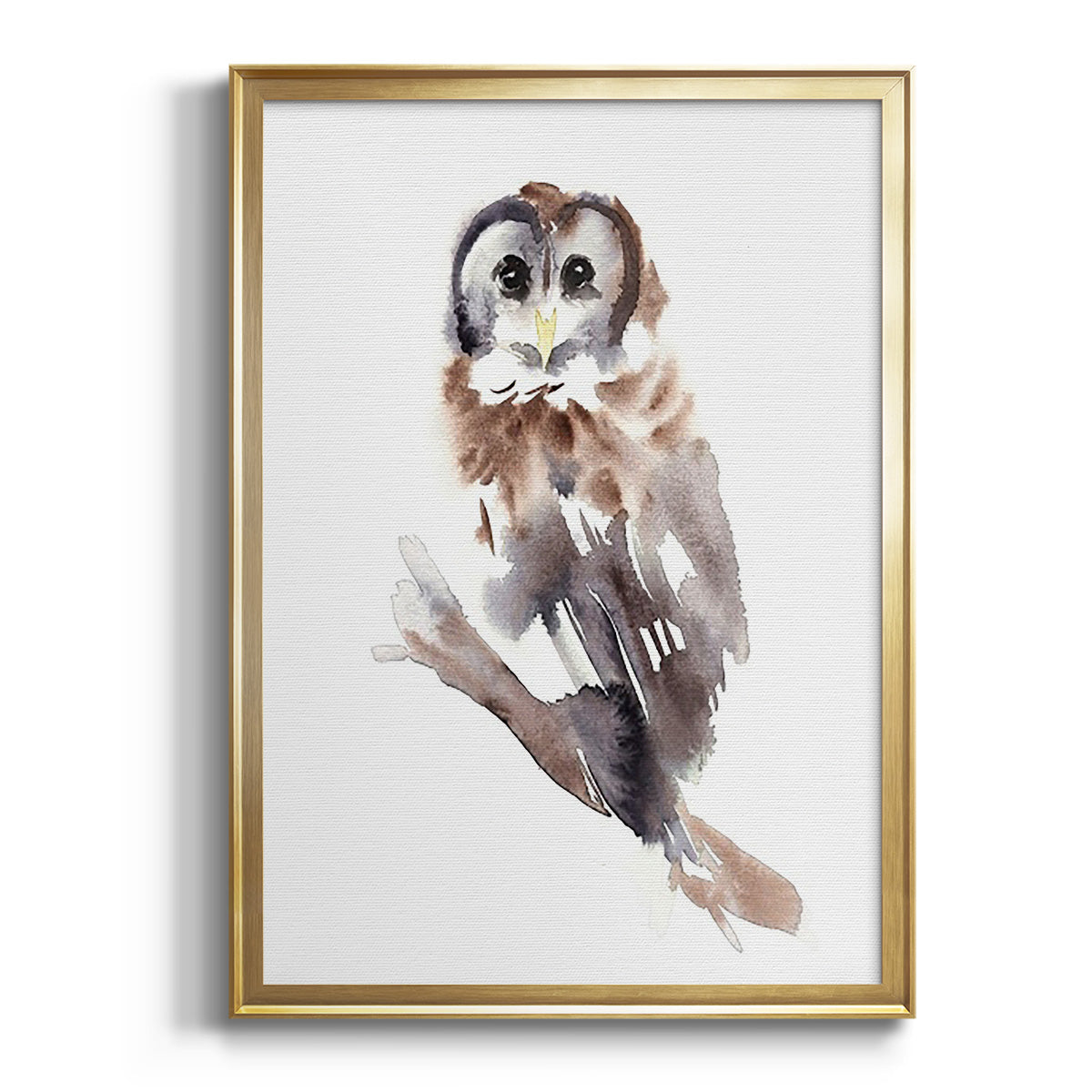 Barred Owl Impressions II - Modern Framed Canvas Print