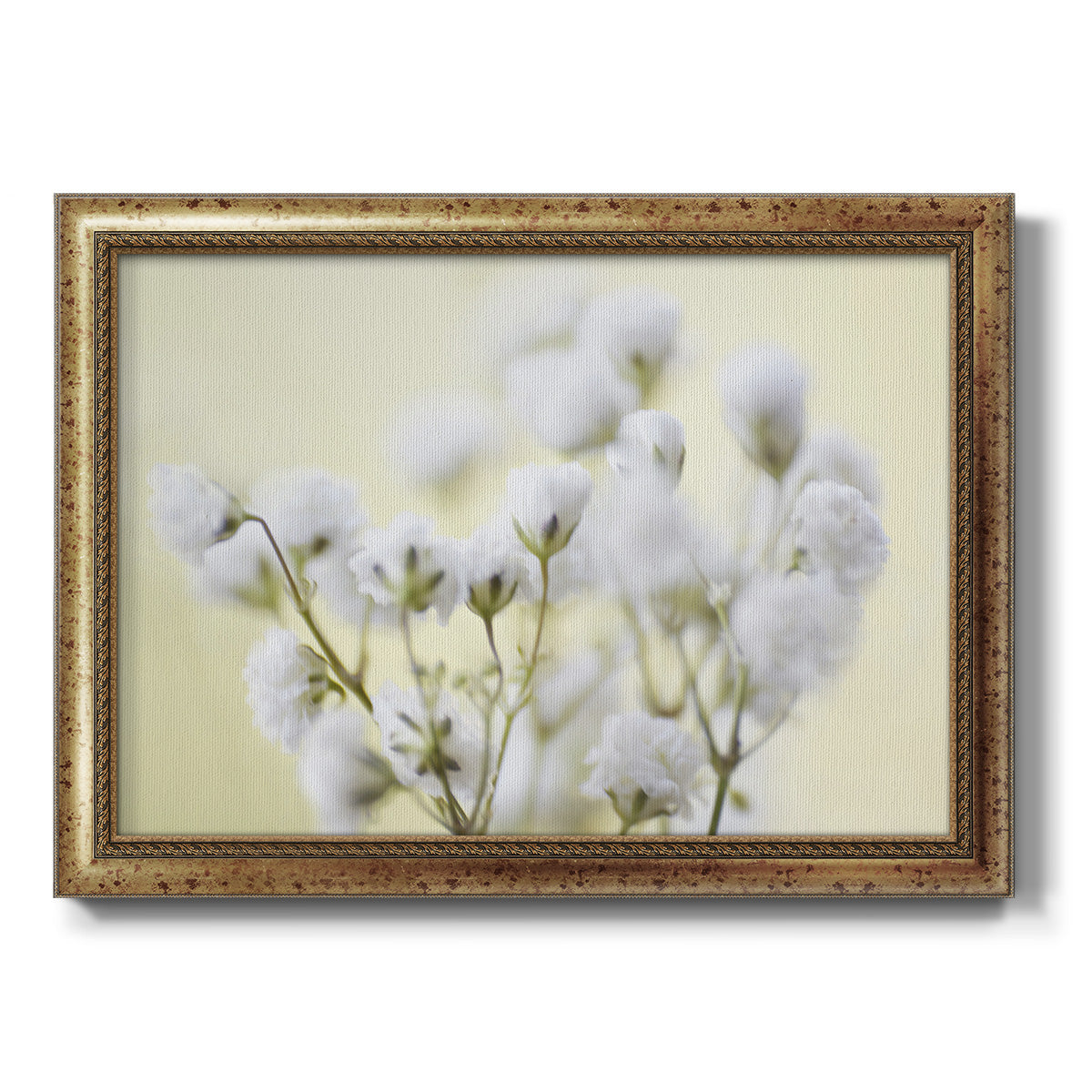 Baby's Breath Study IV Premium Framed Canvas- Ready to Hang