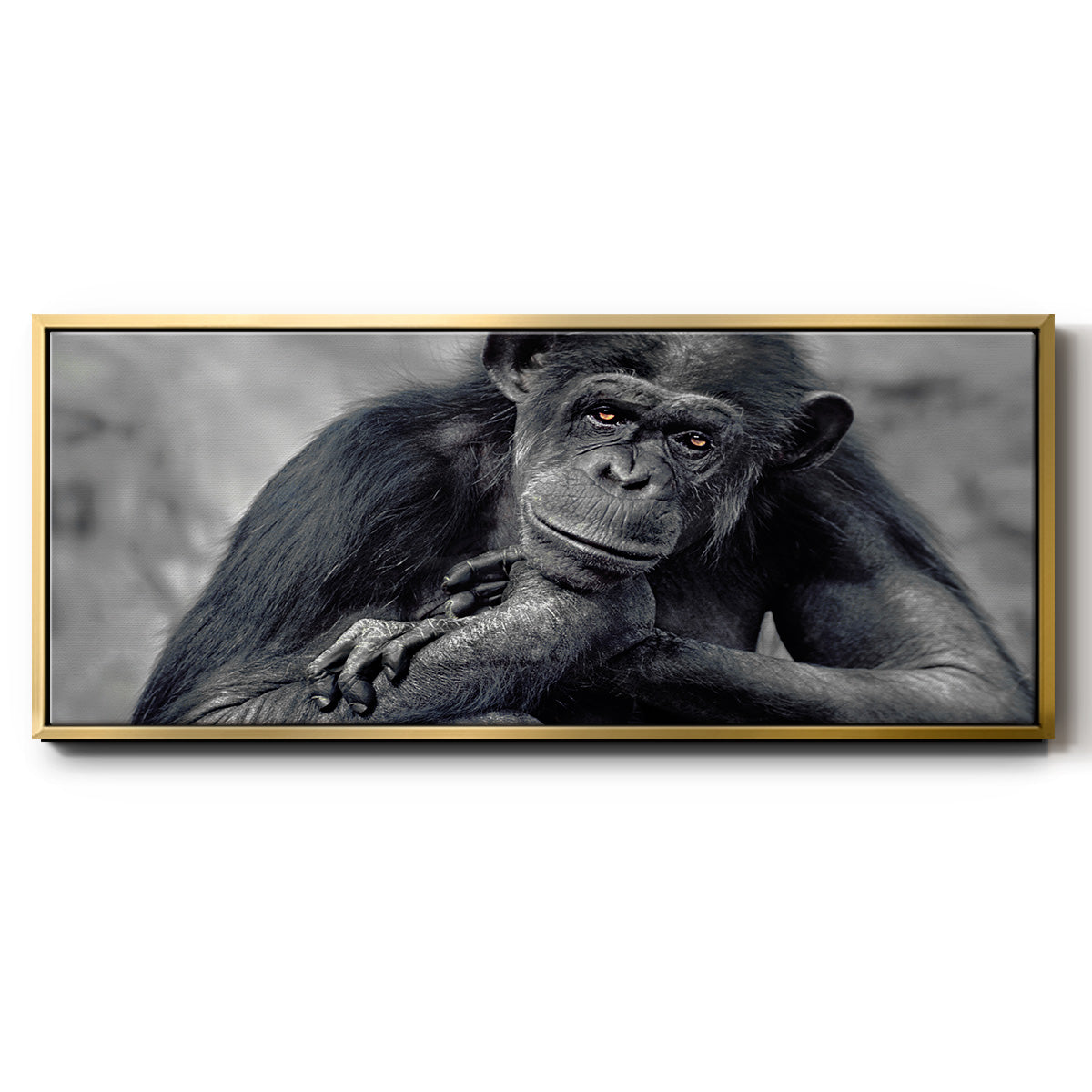 Captivated - Floater Framed Canvas Print