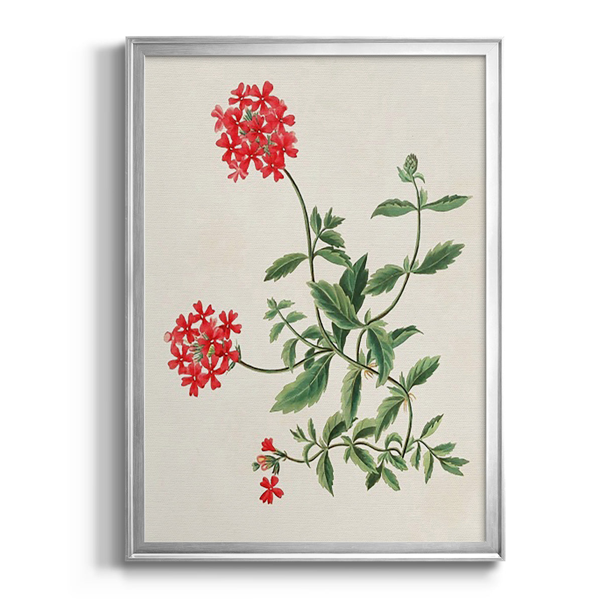 Flowers of the Seasons XI - Modern Framed Canvas Print