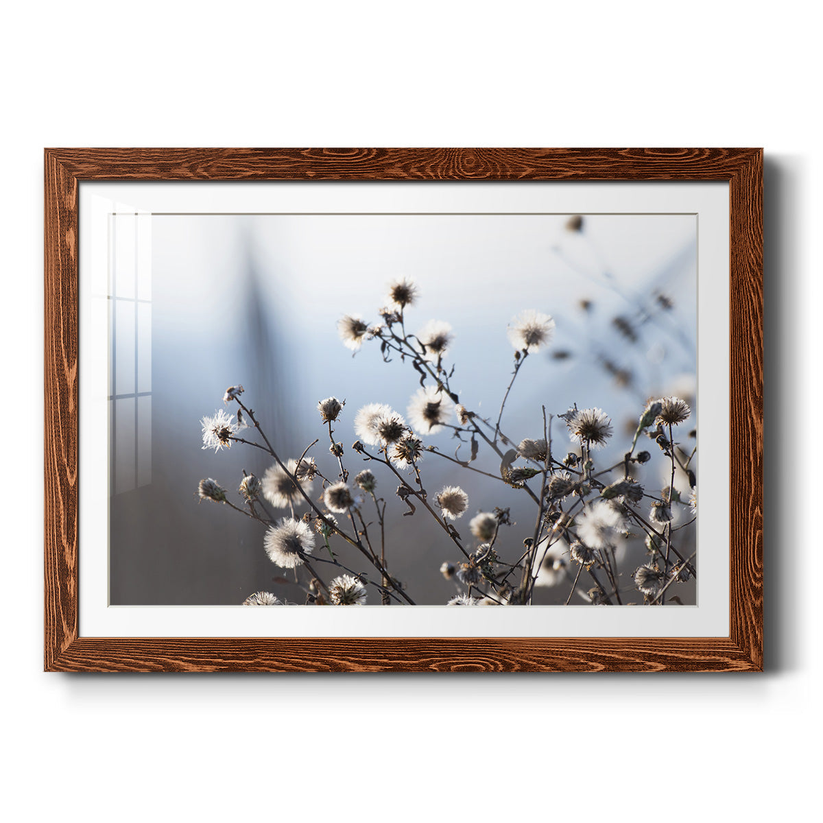 Spring Fluff - Barnwood Framed Art Print