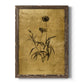 Gold Sketch Botanical I - Premium Canvas Framed in Barnwood - Ready to Hang