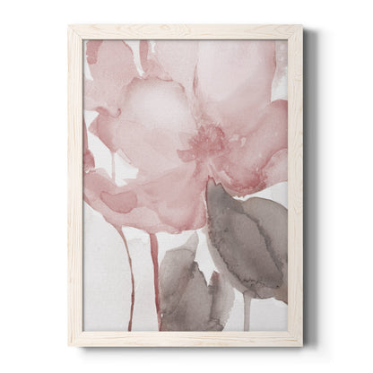 Blush Bloom II - Barnwood Framed Canvas Print