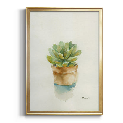 Succulent II - Modern Framed Canvas Print