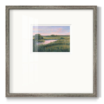 Spring Marsh I Premium Framed Print Double Matboard