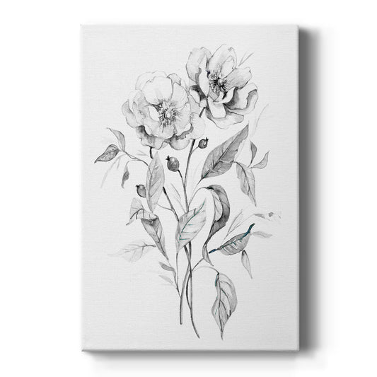 Wild Roses Sketch - Canvas Art Print