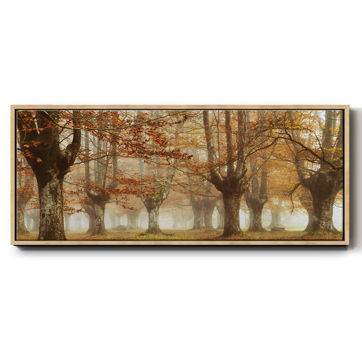 Misty Pan - Floater Framed Canvas Print