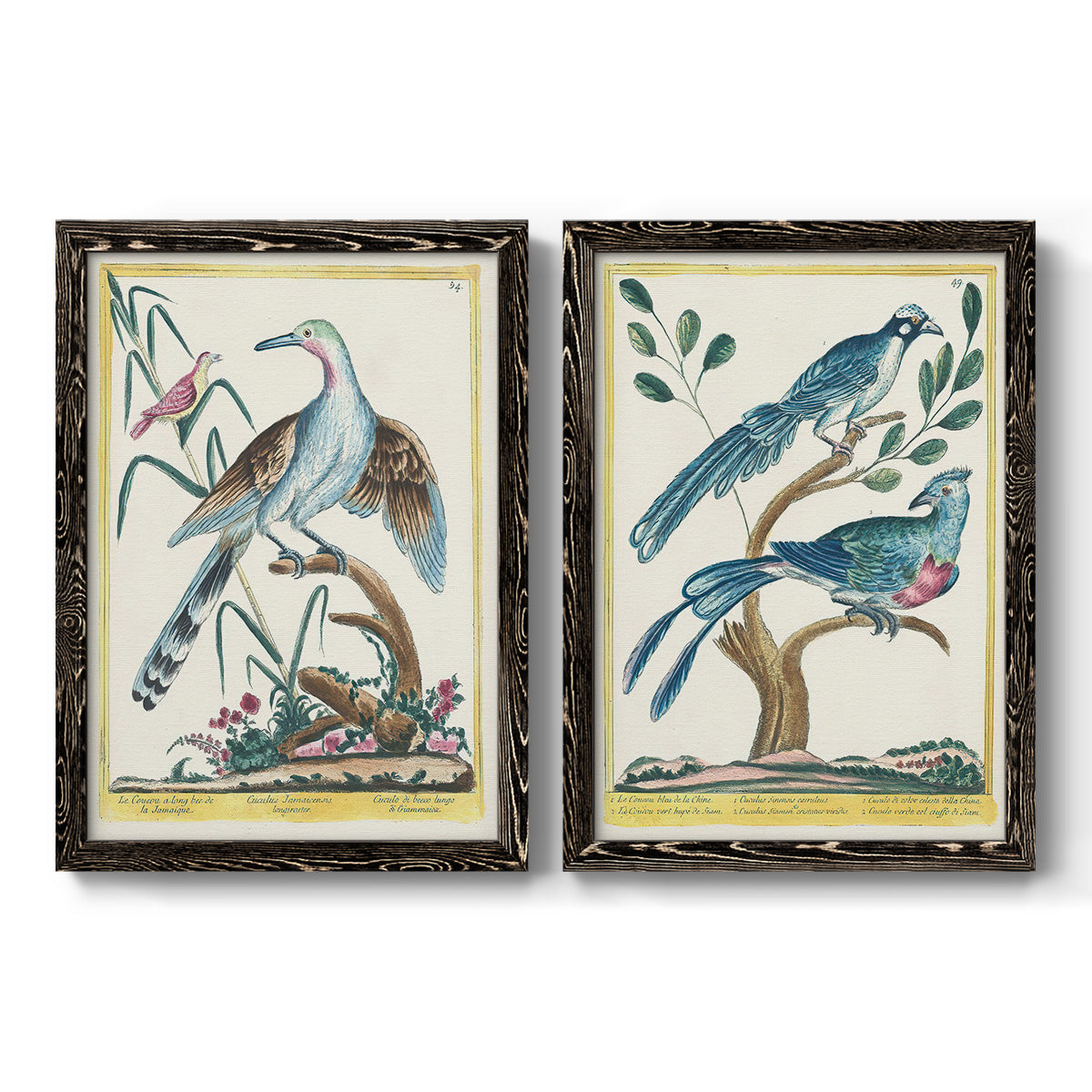 Pastel Birds V - Premium Framed Canvas 2 Piece Set - Ready to Hang