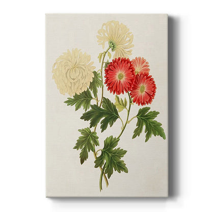 Flowers of the Seasons I - Canvas Art Print