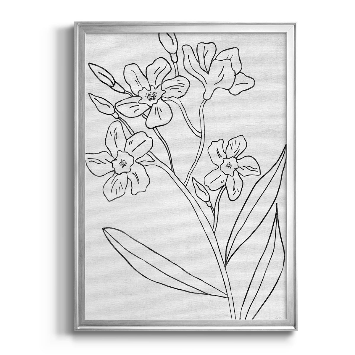 Botanical Sketch II - Modern Framed Canvas Print