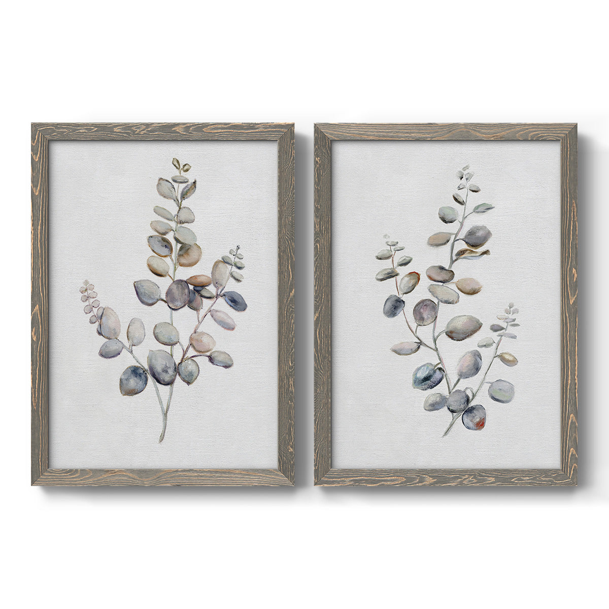 Eucalyptus I - Premium Framed Canvas 2 Piece Set - Ready to Hang