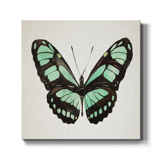 Mint Butterfly II - Canvas Art Print