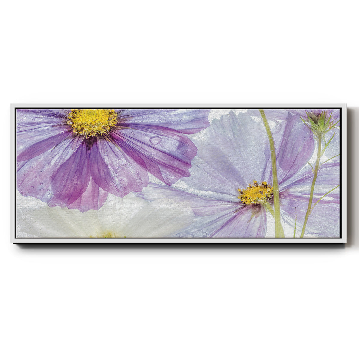 Frozen Floral II - Floater Framed Canvas Print