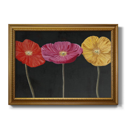 Contemporary poppy flower artwork printed on canvas in an ornate traditional gold frame.