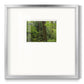 Calm of the Forest - Double Matboard Framed Print