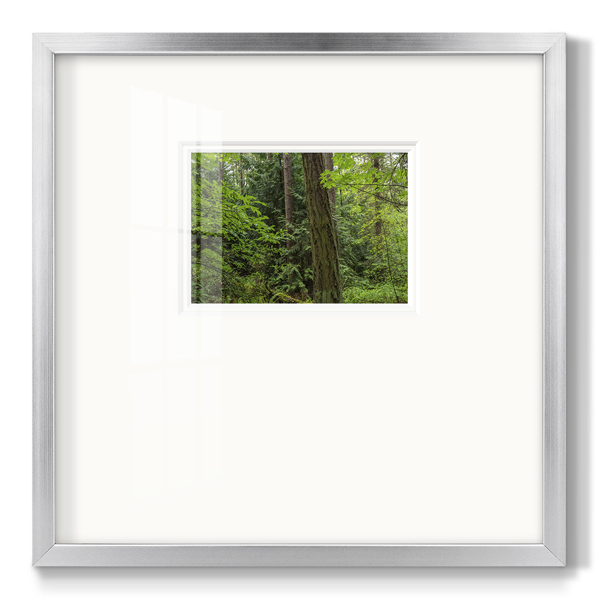 Calm of the Forest - Double Matboard Framed Print