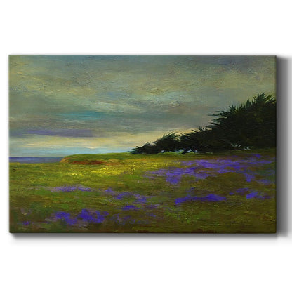 Coastal Views VI - Canvas Art Print