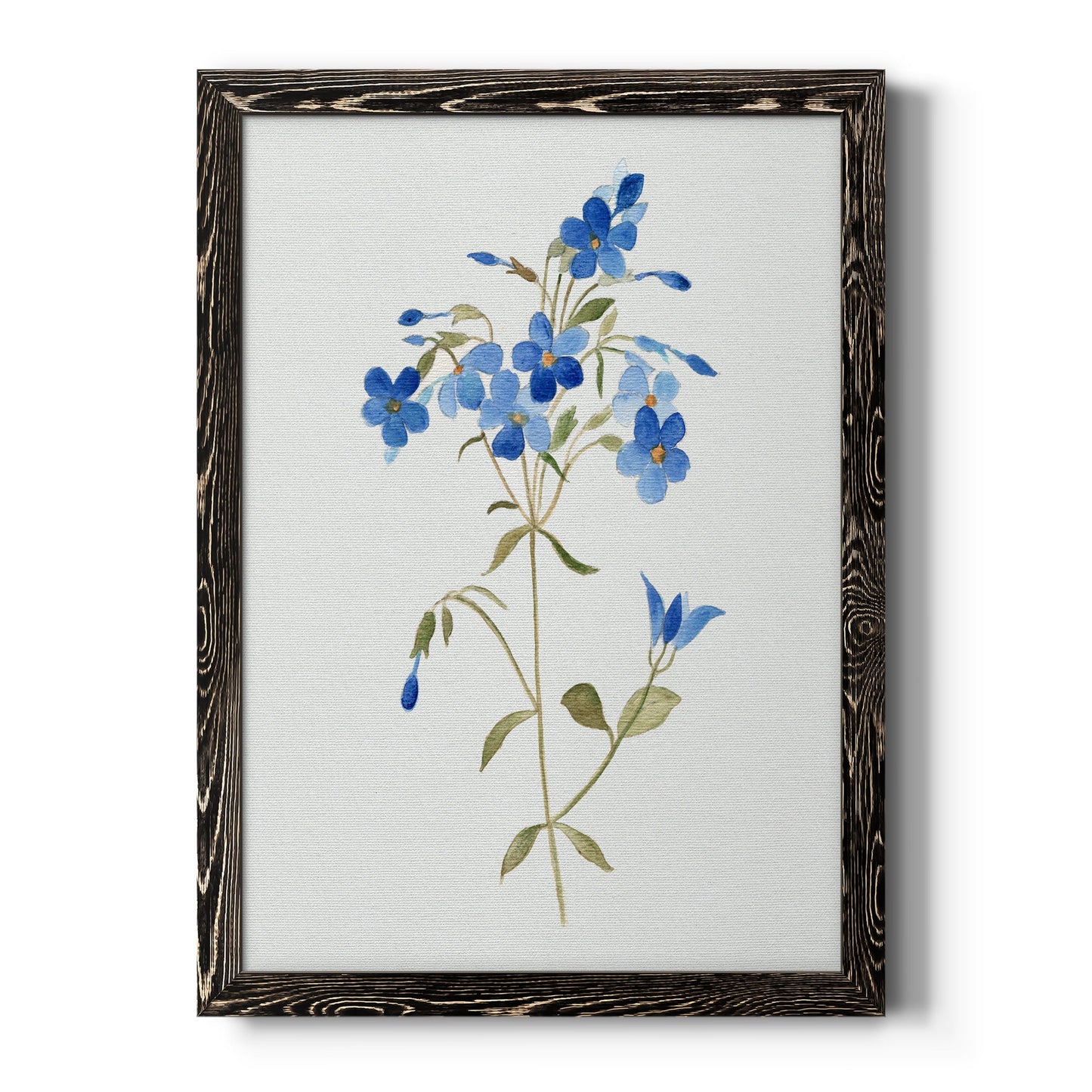 Blue Blossom Botanical II - Premium Canvas Framed in Barnwood - Ready to Hang