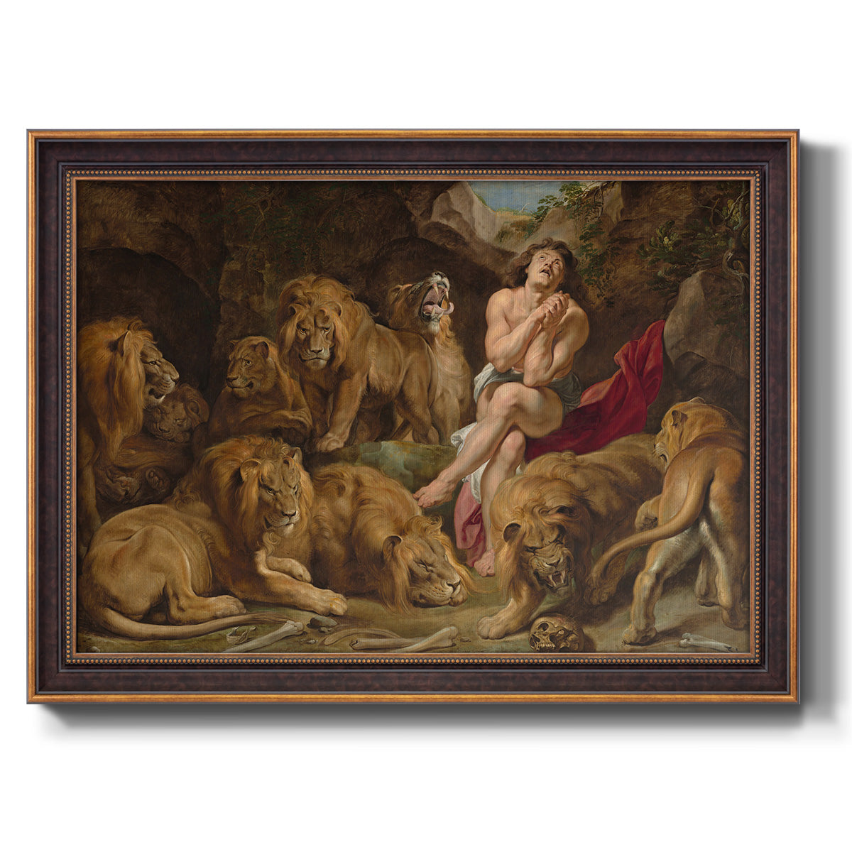 Dramatic biblical painting of Daniel with lions by Peter Paul Rubens printed on canvas in an ornate bronzed mahogany wood frame.