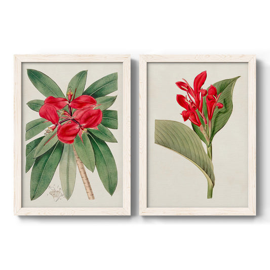 Flora of the Tropics III - Premium Framed Canvas 2 Piece Set - Ready to Hang