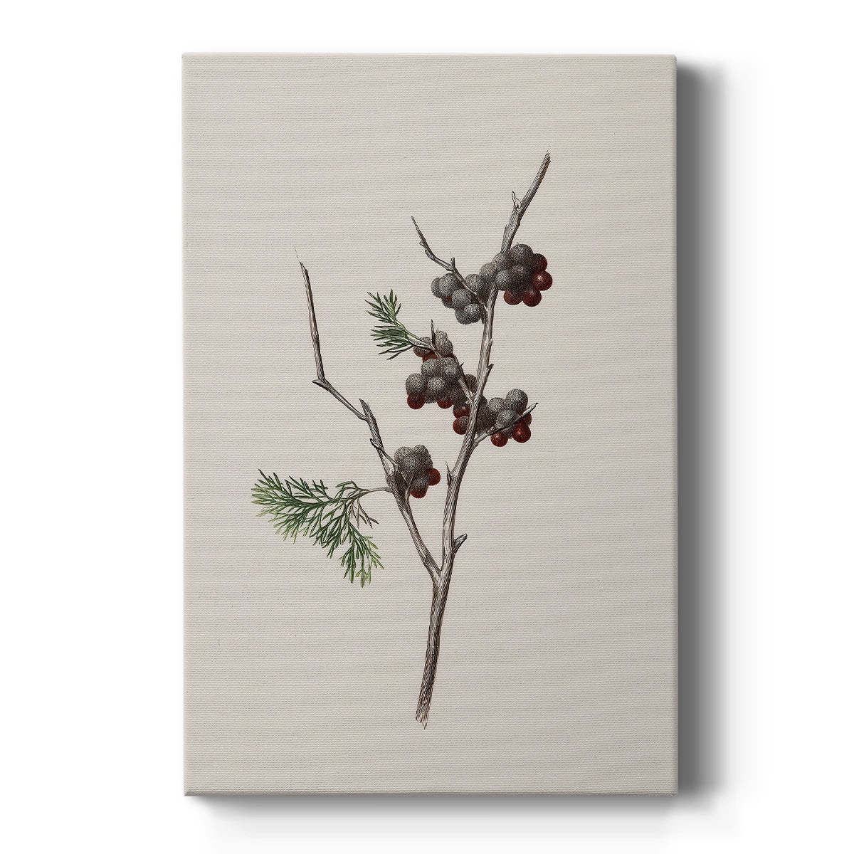 Frostlit Manger Blessing - Canvas Art Print