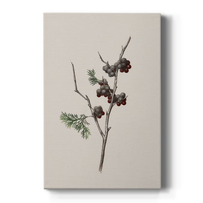 Frostlit Manger Blessing - Canvas Art Print