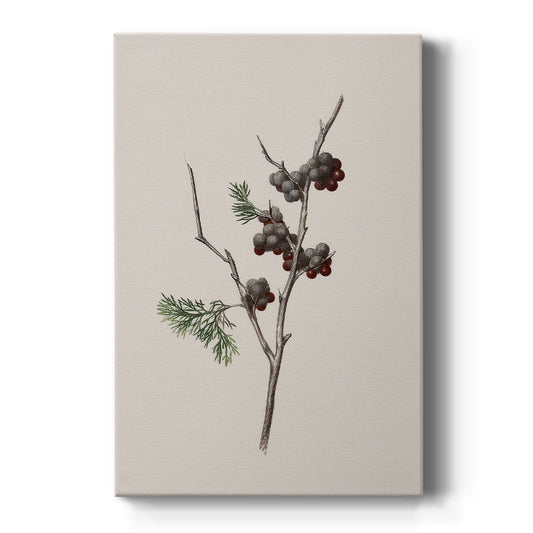 Frostlit Manger Blessing - Canvas Art Print