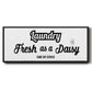 Daisy Laundry - Floater Framed Canvas Print