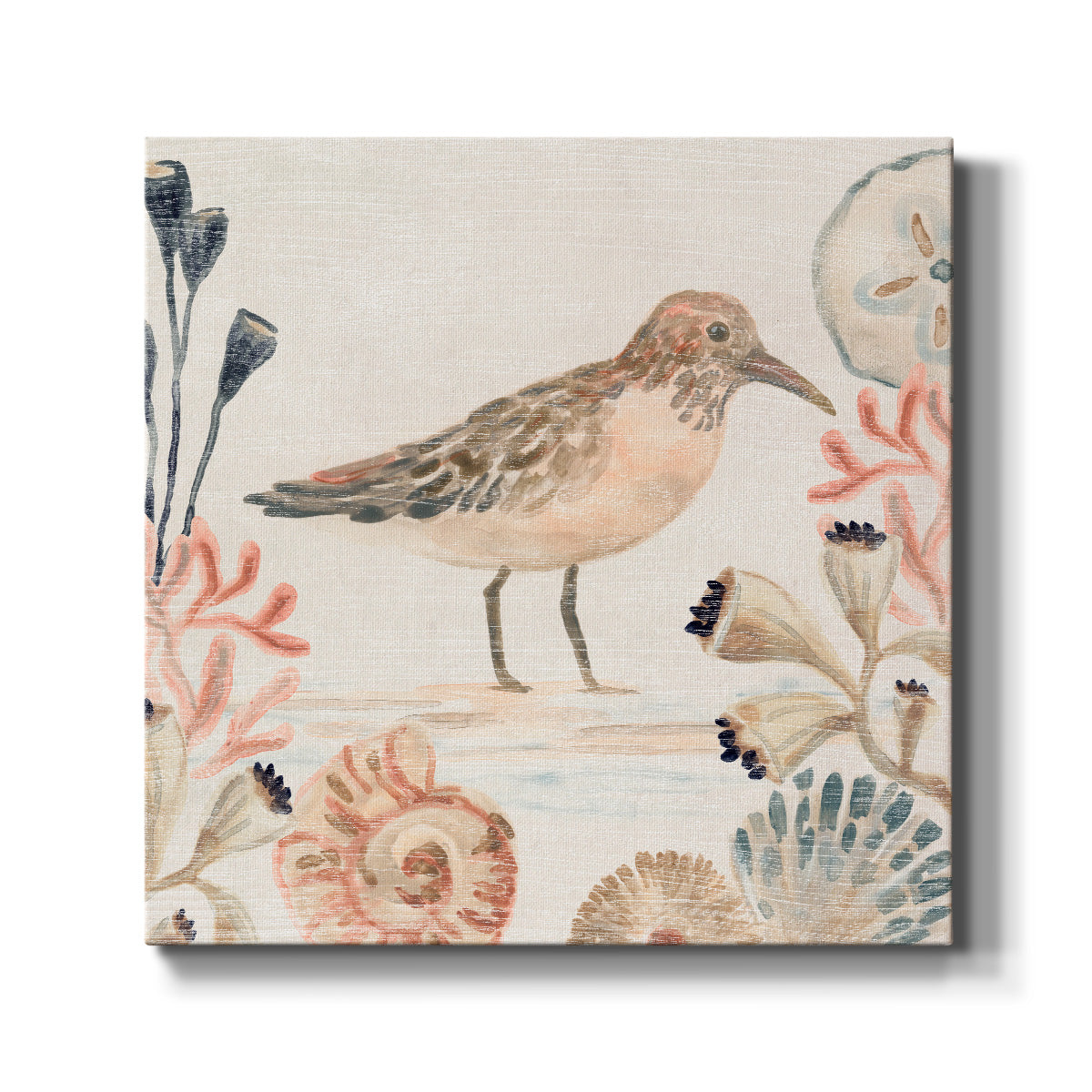 Shell Pipers III - Canvas Art Print