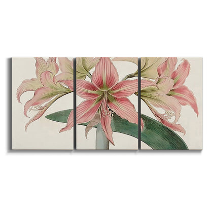 Three-panel canvas wall art featuring vintage styled amaryllis floral study on white background.