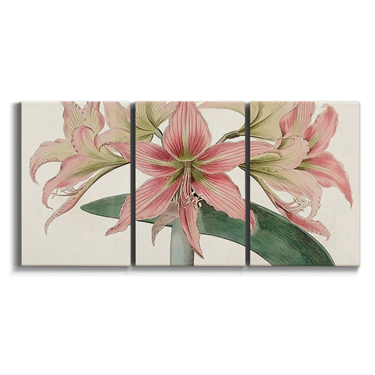 Three-panel canvas wall art featuring vintage styled amaryllis floral study on white background.