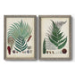 Collected Ferns I - Premium Framed Canvas 2 Piece Set - Ready to Hang