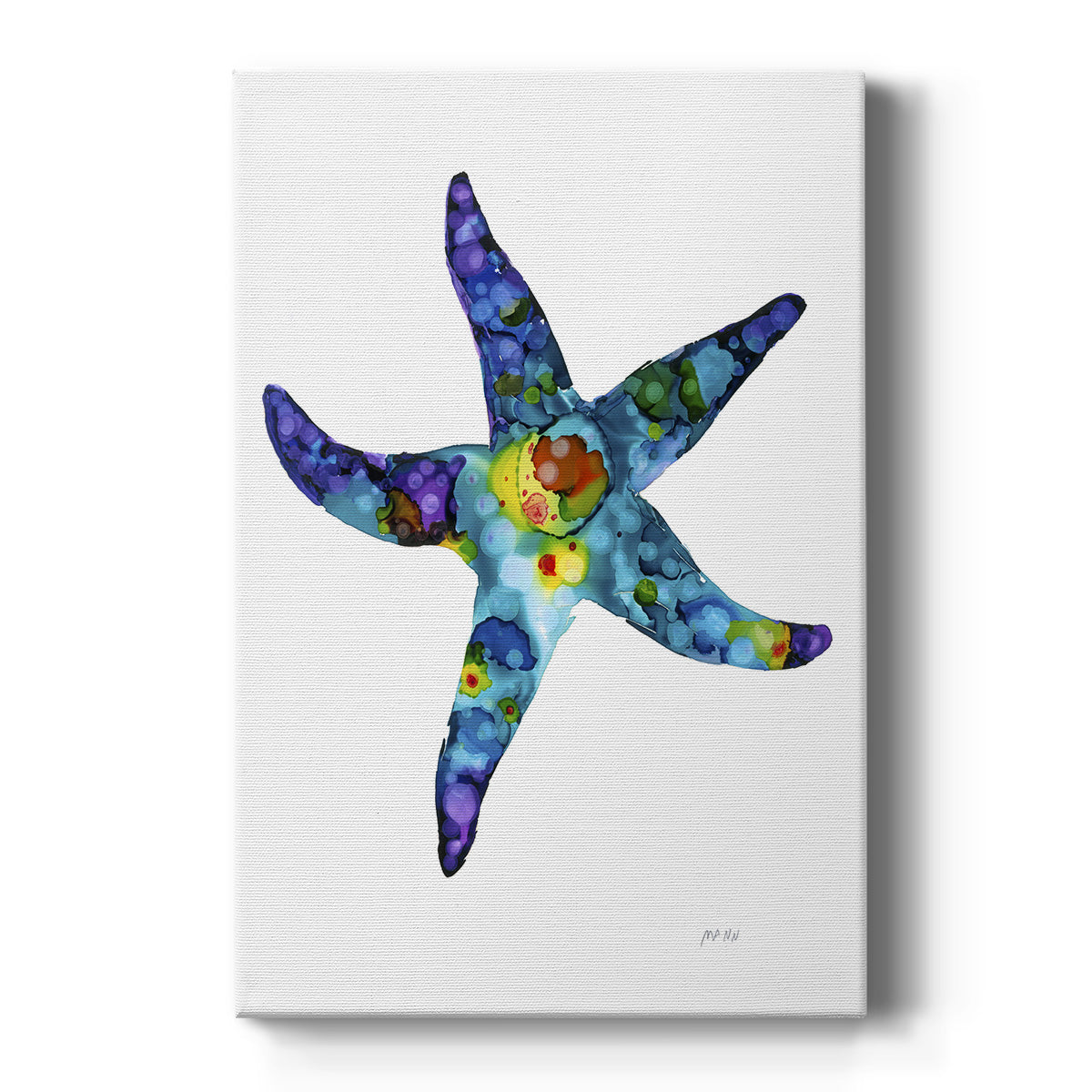 Sea Star Premium Gallery Wrapped Canvas - Ready to Hang