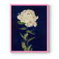 Pretty as a Peony I - Restickable Framed Art Print