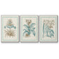 Willow Blue Besler I - Floater Framed Canvas Set