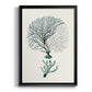 Antique Coastal Coral III - Modern Framed Canvas Print