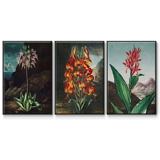 Temple of Flora I - Floater Framed Canvas Set