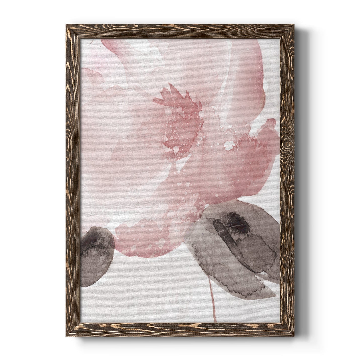 Blush Bloom I - Barnwood Framed Canvas Print