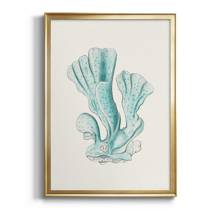 Antique Coastal Coral XI - Modern Framed Canvas Print