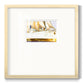 Golden Steam Ship - Double Matboard Framed Print