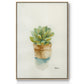 Succulent II - Framed Premium Gallery Wrapped Canvas L Frame - Ready to Hang