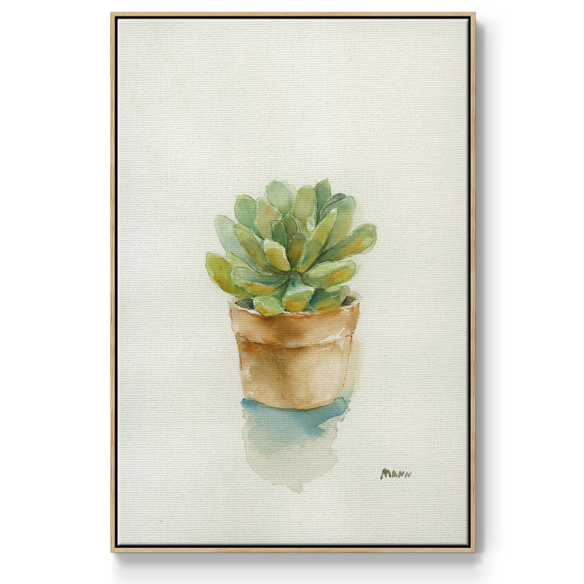 Succulent II - Framed Premium Gallery Wrapped Canvas L Frame - Ready to Hang