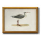 Morris Sandpipers I Premium Framed Canvas- Ready to Hang