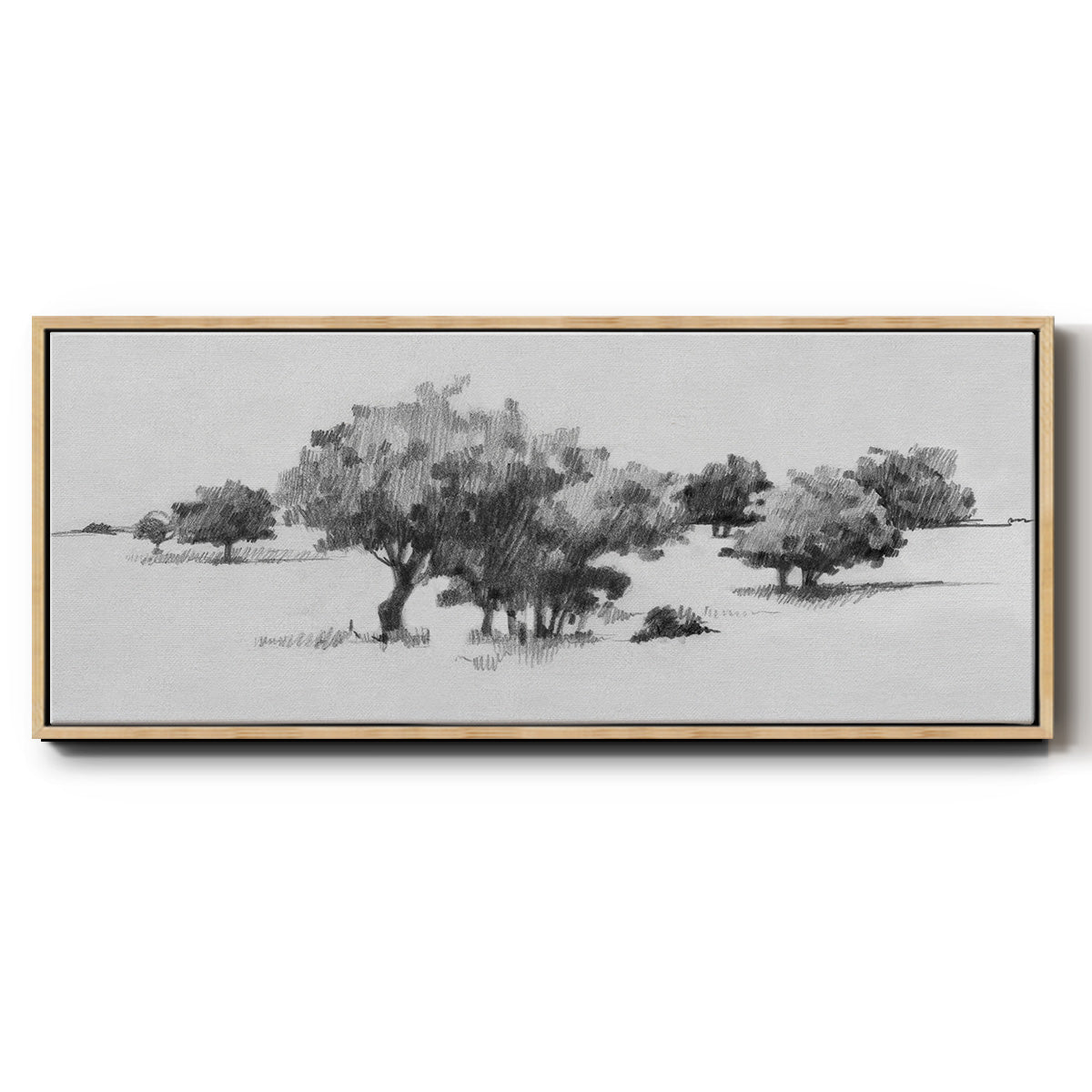 Treeline Sketch II - Floater Framed Canvas Print