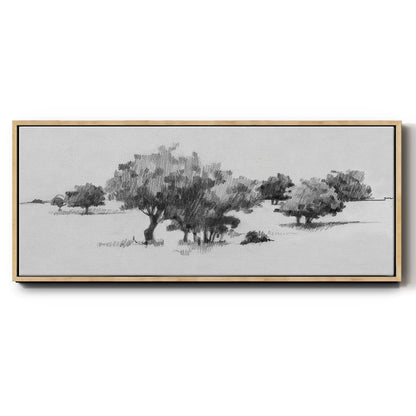 Treeline Sketch II - Floater Framed Canvas Print