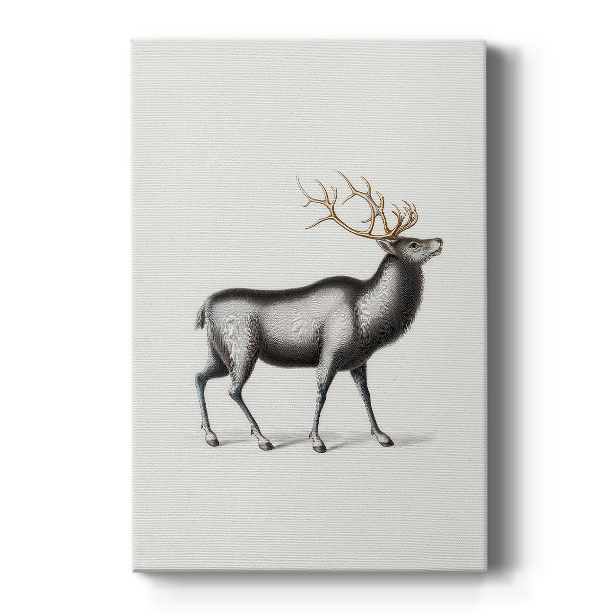 Pearled Manger Blessing - Canvas Art Print
