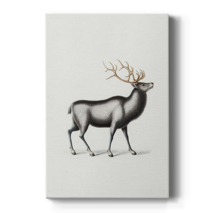 Pearled Manger Blessing - Canvas Art Print