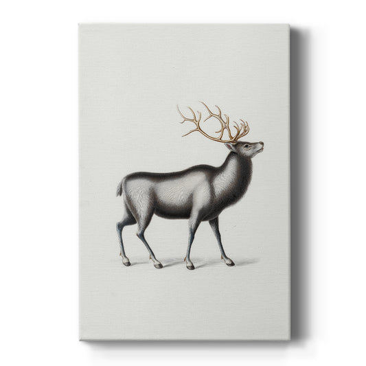 Pearled Manger Blessing - Canvas Art Print